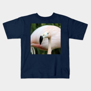 Flamingo Kids T-Shirt